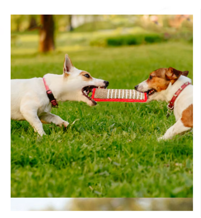 Chewable Sausage for Dogs – Durable Jute Training Toy with Handles for Puppies and Adult Dogs