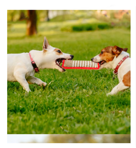 Chewable Sausage for Dogs – Durable Jute Training Toy with Handles for Puppies and Adult Dogs