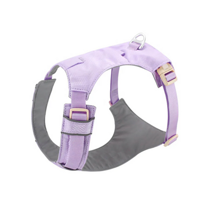 Anti-Pull Harness for Dogs with Adjustable Leash