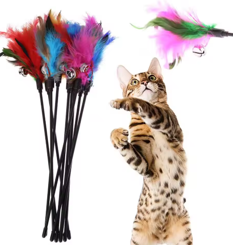 Cat Toy with Coloured Feathers (Set of 5)