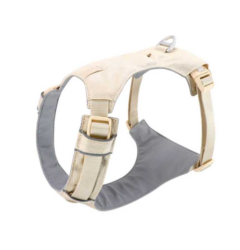 Anti-Pull Harness for Dogs with Adjustable Leash