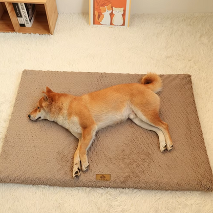 Orthopedic Dog Bed - Plush Mat for Dogs and Cats