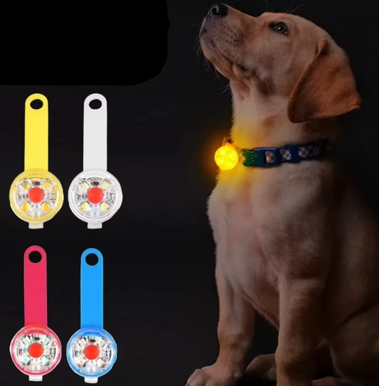 Brand Light for Dogs – Waterproof Rechargeable Safety Light for Dogs and Cats