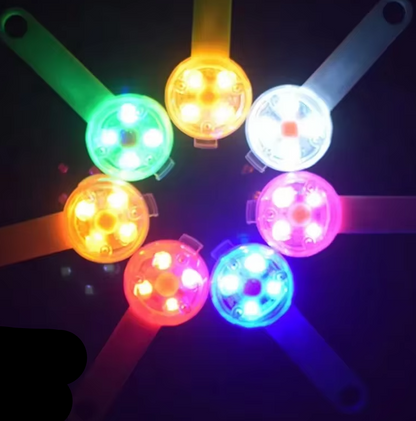 Brand Light for Dogs – Waterproof Rechargeable Safety Light for Dogs and Cats