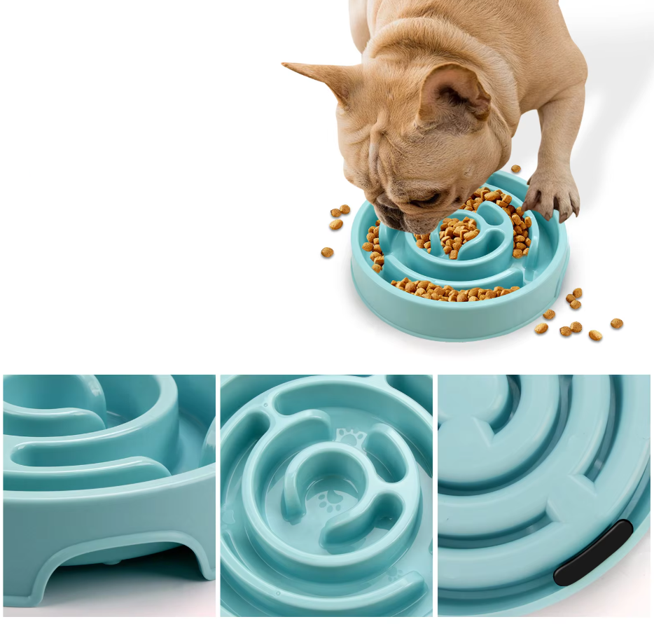 Slow Feed Bowl for Dogs