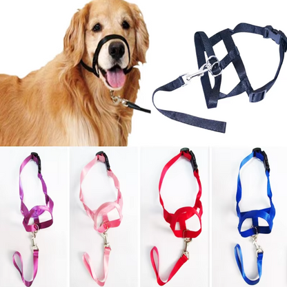 Adjustable Harness with Leash for Small and Medium-Sized Dogs