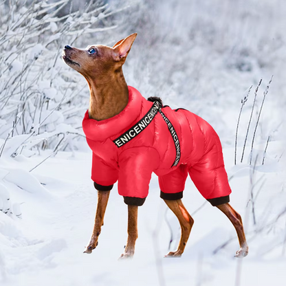 Winter Dog Coat for Cold Days