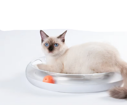 Interactive Cat Toys - Scratcher with Balls for Hours of Fun