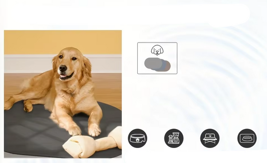 Silicone Pet Food Mat - Waterproof and Non-Slip Mat for Dogs and Cats
