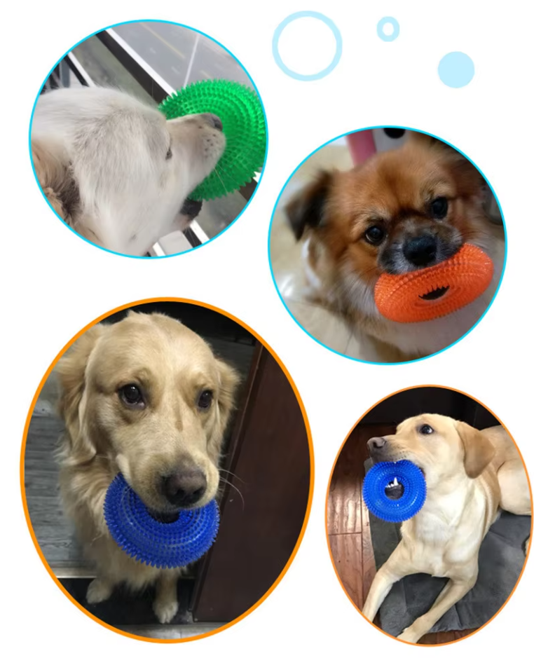 Dog Teething Ring Toys – Durable Chew Toy for Dental Massage