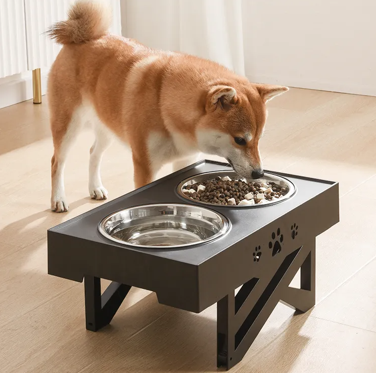 Elevated Dog Bowl Stand with Two Stainless Steel Bowls