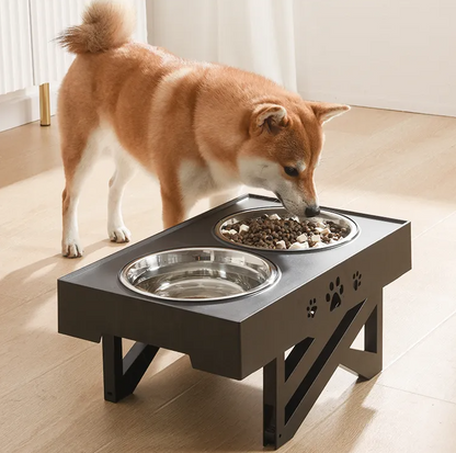 Elevated Dog Bowl Stand with Two Stainless Steel Bowls