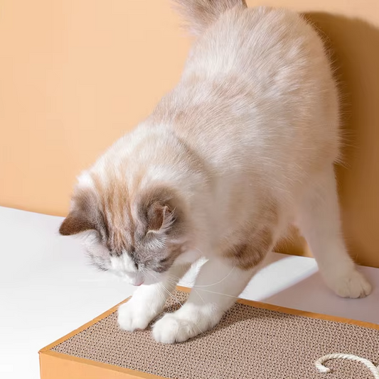 Cat Scratching Mat – Durable Scratching Pad with Playful Design