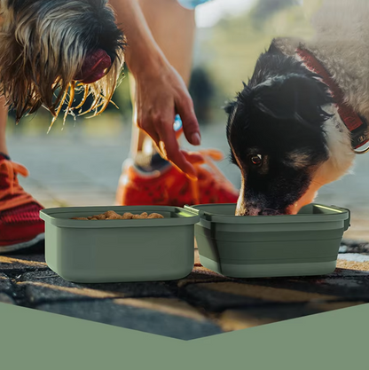 Silicone Pet Care Box – Practical Storage Container for Pet Supplies