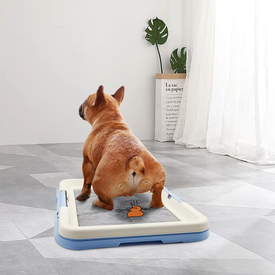 Indoor Dog Toilet – Clean Potty Solution with Non-Slip Mat for Puppies and Small Dogs