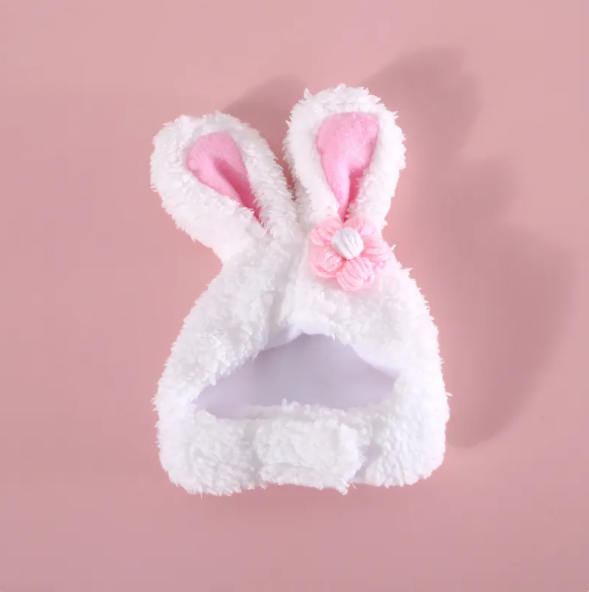 Cat Hat with Bunny Ears and Carrot or Flower Design for Adorable Companion Photos