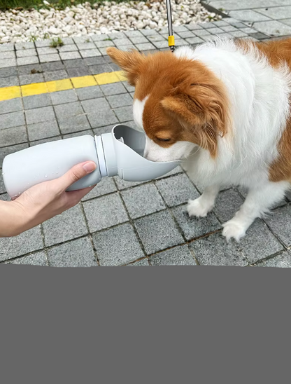 Travel Water Bottle with Collapsible Bowl