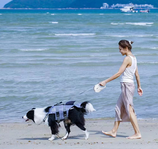 Automatic Retractable Dog Leash with Rotating Mechanism - 5m Flexible Leash for Dogs