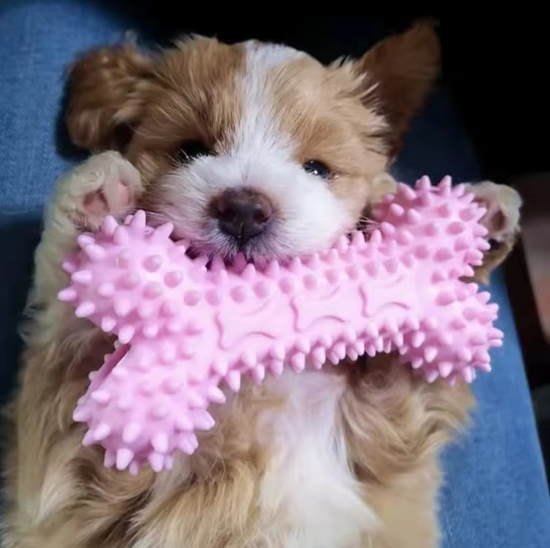 Puppy Toys – Bite-Resistant Plush Chew Toys for Dogs