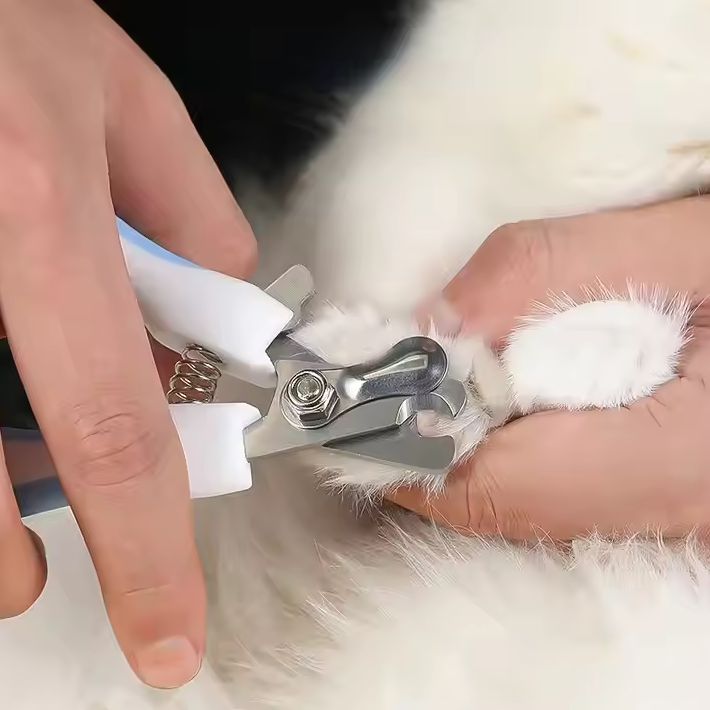 Pet Nail Scissors with Safety Lock and File