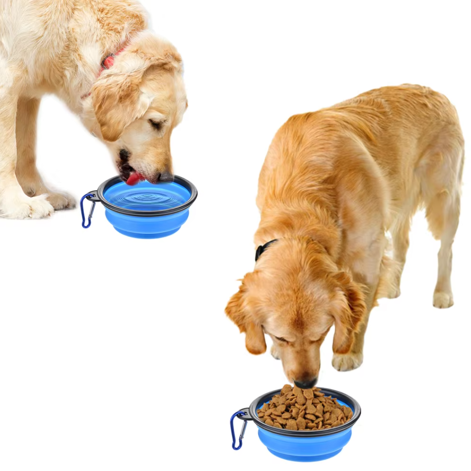 Collapsible Dog Cup with Carabiner