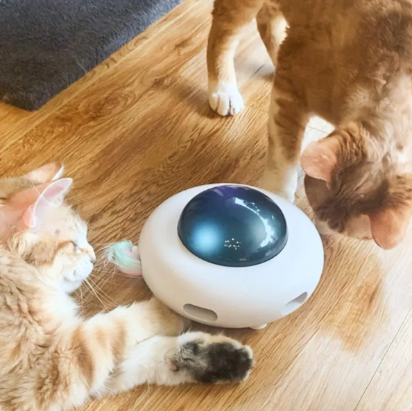 Interactive Cat Toy with LED Lights and Feather Tail