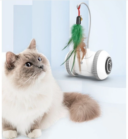 Interactive Cat Toy with Feathers - Robot Toy for Cats