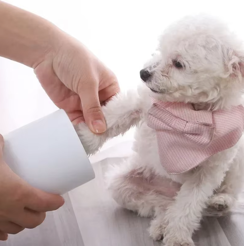 Paw Brush with Silicone Bristles for Dogs and Cats – Gentle Cleaning and Care