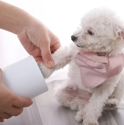 Paw Brush with Silicone Bristles for Dogs and Cats – Gentle Cleaning and Care