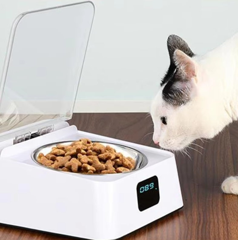Automatic Cat Food Dispenser with Digital Display and Lid