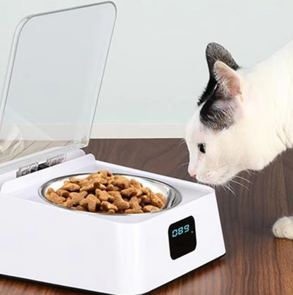 Automatic Cat Food Dispenser with Digital Display and Lid