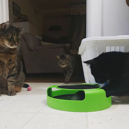 Interactive Cat Toys with Mouse - Toy with Moving Mouse for Cats