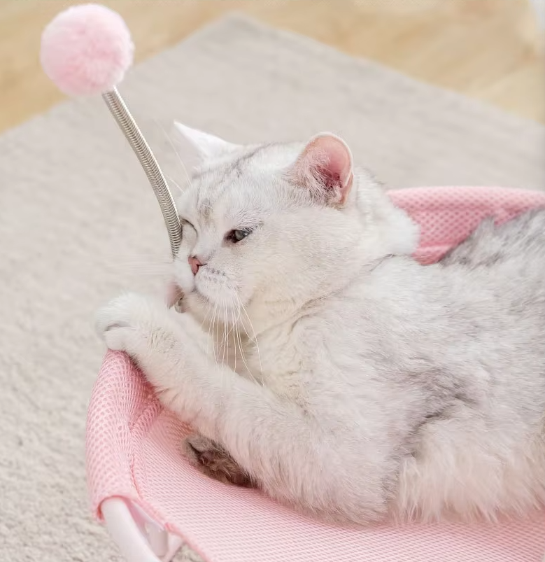 Round Cat Hammock – Comfortable Resting Spot for Cats with Play Balls and Stable Frame