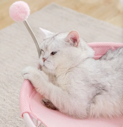 Round Cat Hammock – Comfortable Resting Spot for Cats with Play Balls and Stable Frame