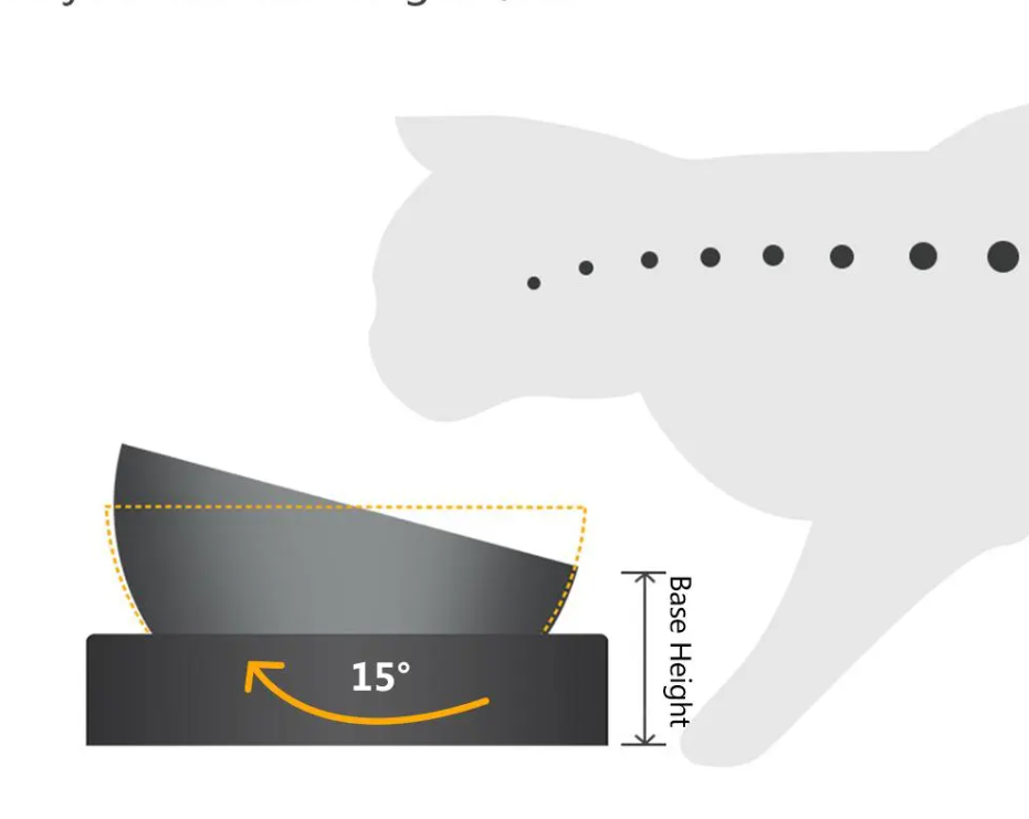 Double Cat Bowl in Stainless Steel with Stand