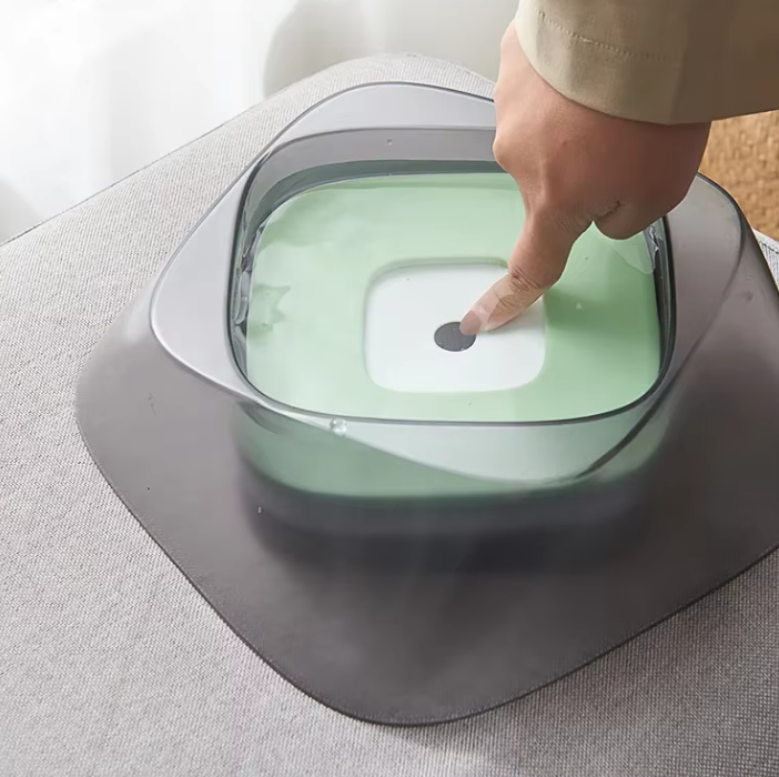 Raised Dog Bowl with Non-Slip Base