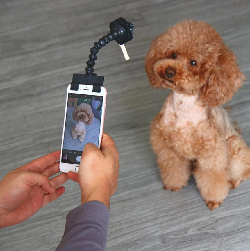 Selfie Stick for Pets with Treat Holder