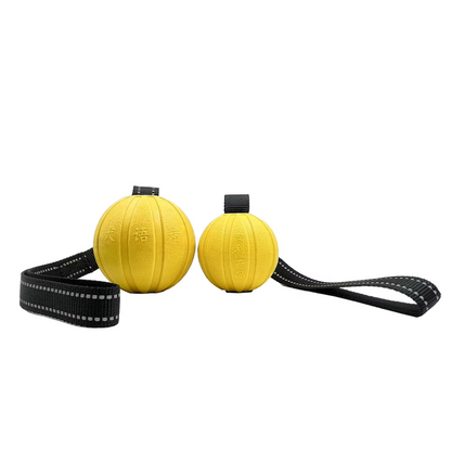Interactive Bite Training Toy for Dogs – Durable Chewable Ball