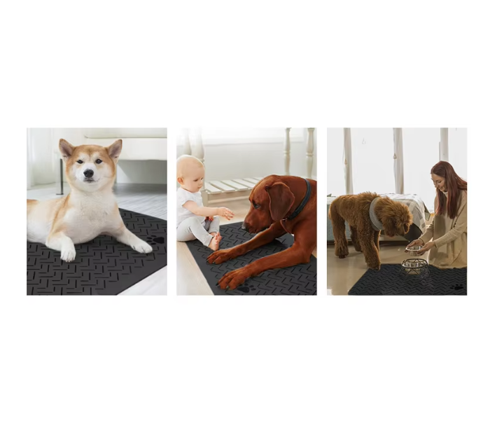 Dog Supplies for Food and Water