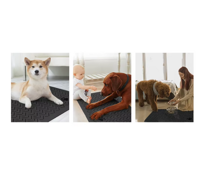 Dog Supplies for Food and Water