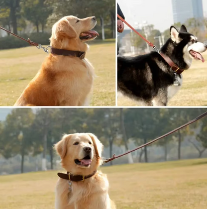 Leather Dog Lead with Gold Clip – Durable and Stylish Dog Accessory