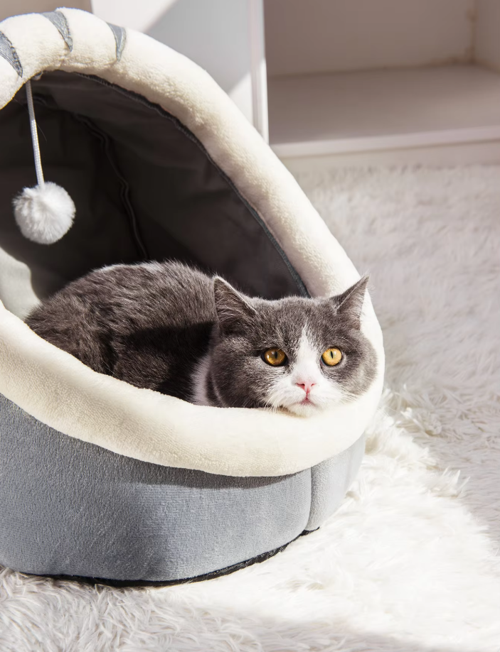 Cozy Cat Bed - Plush Igloo with Play Ball for Ears