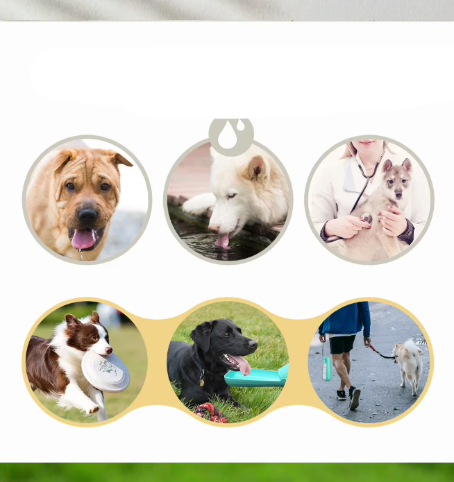 Portable Water Bottle for Dogs - Leak-Proof Travel Dispenser with Integrated Bowl