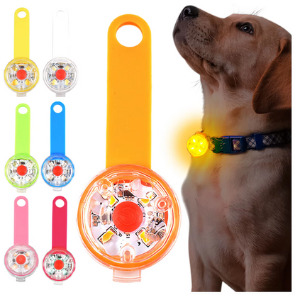 Brand Light for Dogs – Waterproof Rechargeable Safety Light for Dogs and Cats