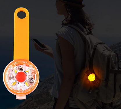 Brand Light for Dogs – Waterproof Rechargeable Safety Light for Dogs and Cats