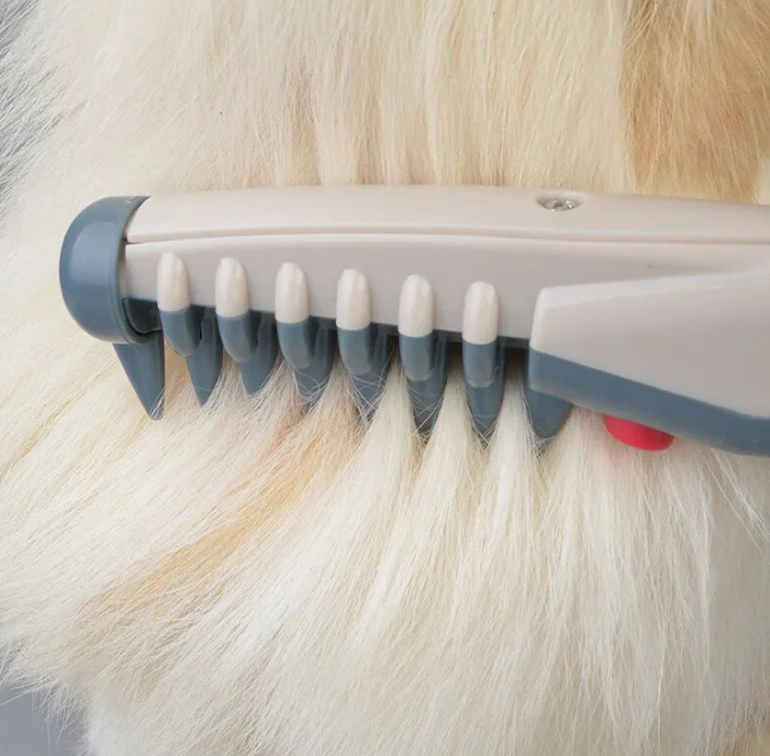 Electric Clipper for Dogs and Cats