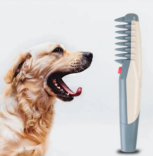 Electric Clipper for Dogs and Cats
