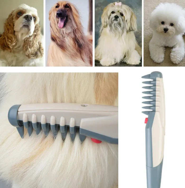 Electric Clipper for Dogs and Cats