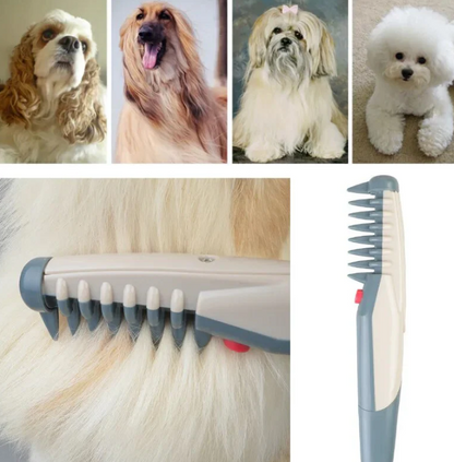 Electric Clipper for Dogs and Cats