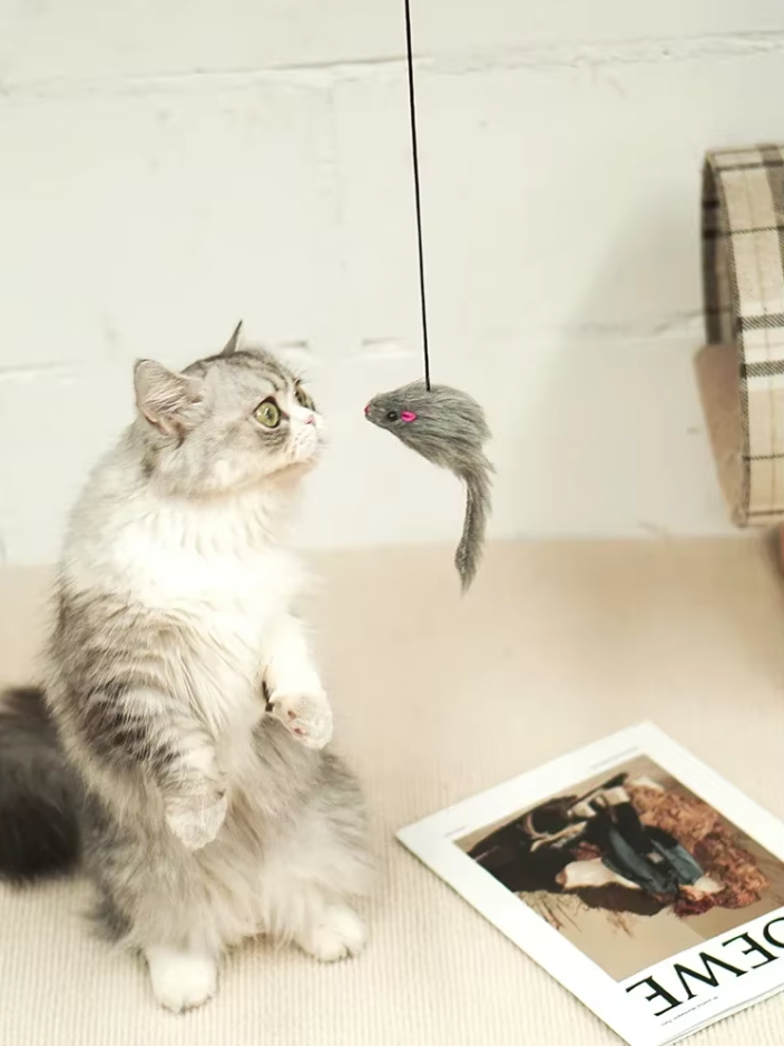 Interactive Door Toy - Jumping Mouse for Active Cats